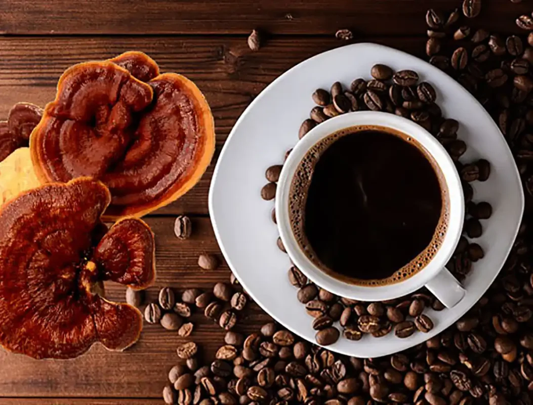 خواص قهوه گانودرما و جینسینگ